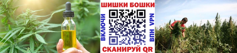 цены наркотик  Карачаевск  Печенье с ТГК марихуана 