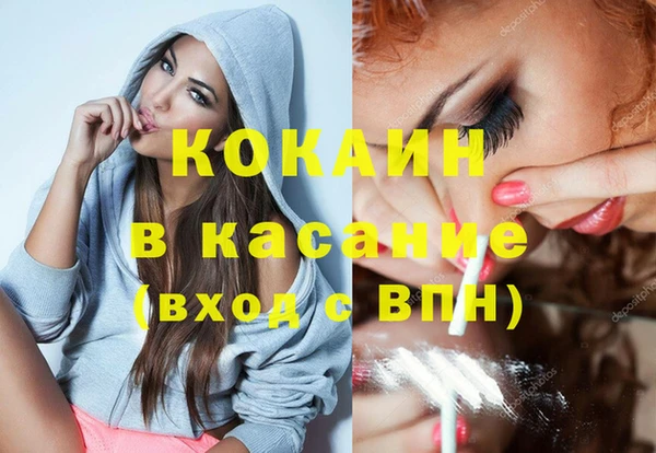 мдпв Ельня