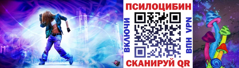 Псилоцибиновые грибы Magic Shrooms  купить   Карачаевск 