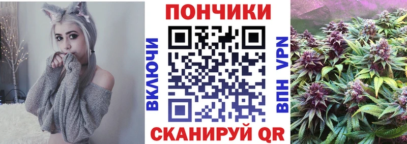 Бошки Шишки семена  Карачаевск 